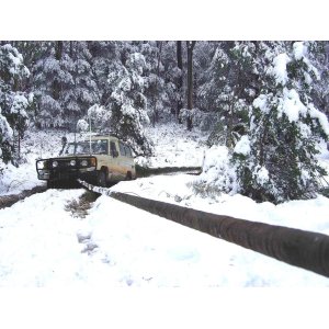 BLACK SNAKE 10M8t RECOV STRAPWITH THIMBLES