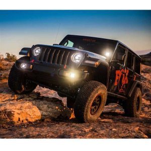Steering stabilizer FOX Performance 2.0 TS