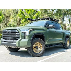 Side steps Go Rhino Dominator Xtreme D1